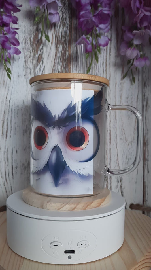 15 OZ GLASS MISCELLANEOUS HOT & COLD MUG